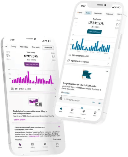 Custom-Built Dropshipping store