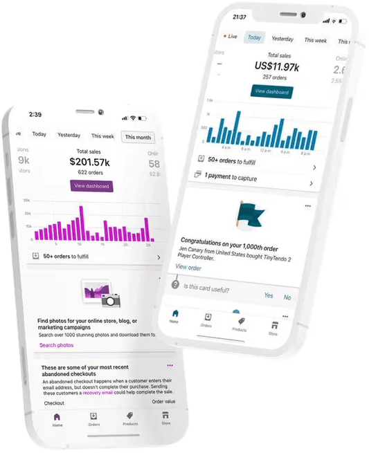 Custom-Built Dropshipping store